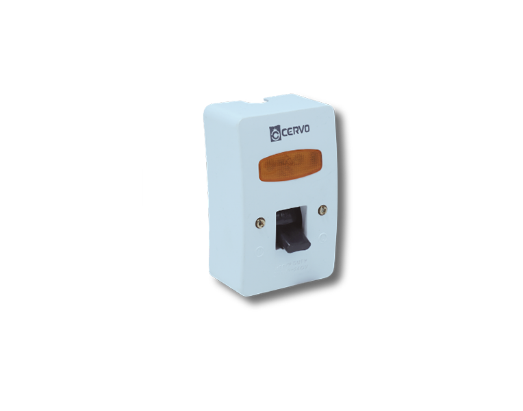 Heavy Duty DP Switch